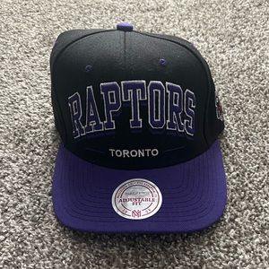 Toronto Raptors Hat
